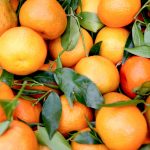 عبق أزهار البرتقال يجذب العالم إلى تقليد ربيعي في المغرب