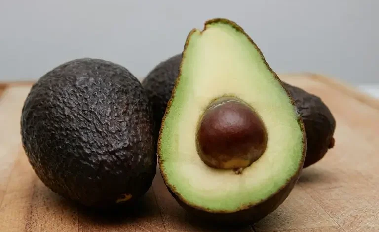 الذهب الأخضر: المغرب يسجل رقما قياسيا جديدا في تصدير الأفوكادو في 2023/24