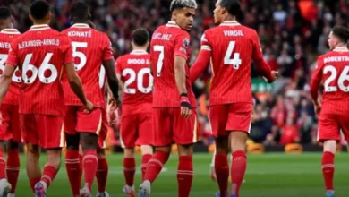 مباراة ليفربول وبولونيا في دوري الابطال