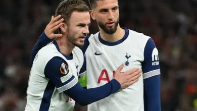 مباراة توتنهام ضد هوفنهايم اليوم