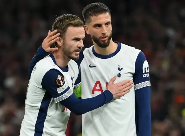 مباراة توتنهام ضد هوفنهايم اليوم