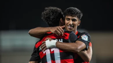 مباراة الرياض والفيجاء