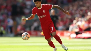 الهلال يسعى للتعاقد مع لويس دياز لدعم صفوفه في مونديال الأندية