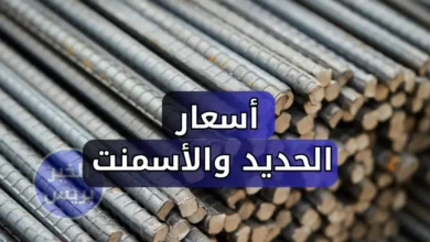 سعر الحديد اليوم السبت في مصر 28-6-2025.. ارتفاع حديد عز وتراجع الأسمنت