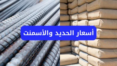 أسعار الحديد والأسمنت اليوم في مصر الاثنين 30 يونيو 2025.. ارتفاع جديد لحديد الاستثماري