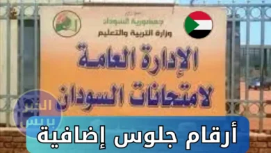 مدير امتحانات الشهادة السودانية: أرقام جلوس إضافية لاستيعاب الطلاب المتأخرين في مراكز الامتحانات