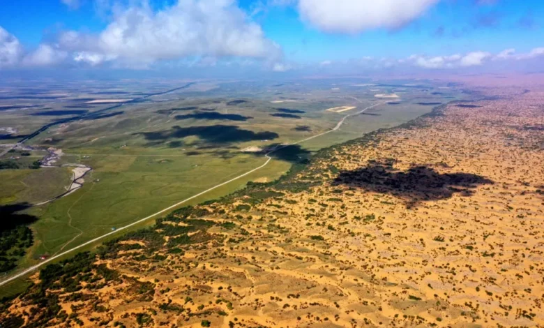 جهود المملكة البيئية تتصدر المشهد العالمي في يوم مكافحة التصحر والجفاف