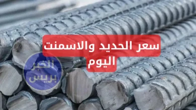 أسعار الحديد والأسمنت اليوم الاثنين 23-6-2025.. تراجع ملحوظ في السوق المحلي