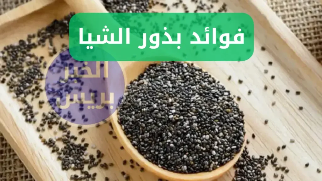 كنز طبيعي .. فوائد بذور الشيا لصحة أفضل