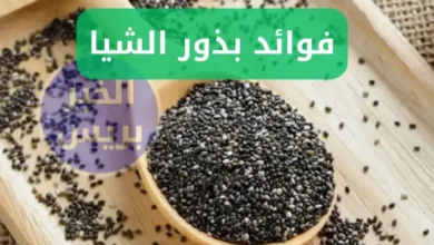 كنز طبيعي .. فوائد بذور الشيا لصحة أفضل