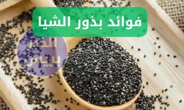 كنز طبيعي .. فوائد بذور الشيا لصحة أفضل
