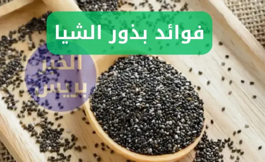كنز طبيعي .. فوائد بذور الشيا لصحة أفضل