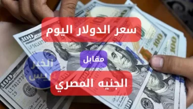 صعود سعر الدولار اليوم مقابل الجنيه في البنوك المصرية dollar usd vs egp