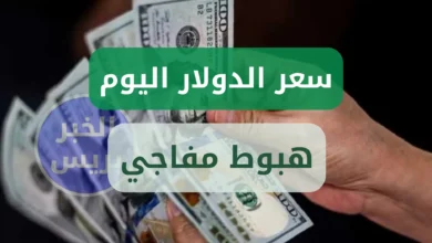 هبوط سعر صرف الدولار مقابل الجنيه المصري اليوم الثلاثاء 24 يونيو 2025