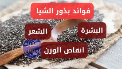 فوائد بذور الشيا للبشرة والشعر وإنقاص الوزن .. سر الصحة والجمال في معلقة واحدة