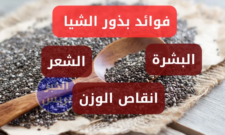 فوائد بذور الشيا للبشرة والشعر وإنقاص الوزن .. سر الصحة والجمال في معلقة واحدة