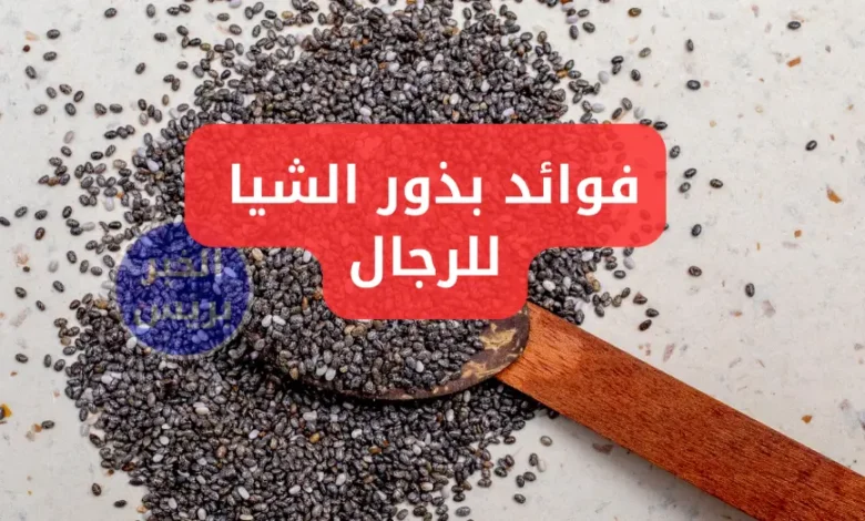 فوائد بذور الشيا للرجال: من الصحة الجنسية إلى تحسين الهضم والمناعة