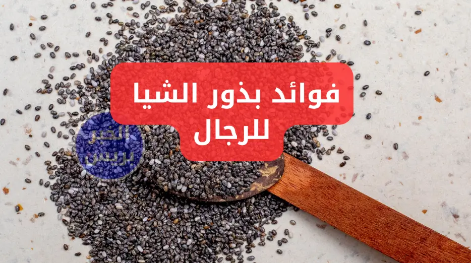 فوائد بذور الشيا للرجال: من الصحة الجنسية إلى تحسين الهضم والمناعة