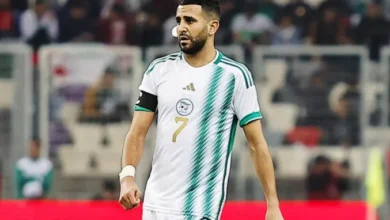 مباراة الجزائر والسويد اليوم في اختبار ودي قوي قبل تصفيات كأس العالم