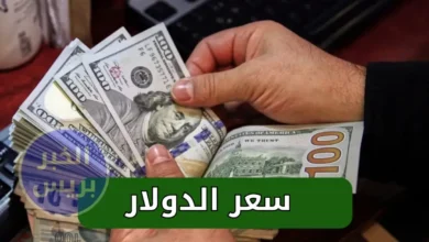 سعر الدولار اليوم في مصر الإثنين 30 يونيو 2025.. تراجع جديد أمام الجنيه في البنوك والسوق السوداء