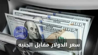 سعر الدولار مقابل الجنيه المصري اليوم الأحد 6 يوليو 2025.. استقرار بعد الانخفاض الأخير
