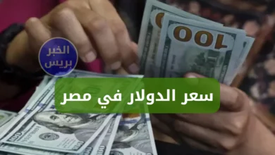 سعر الدولار اليوم في مصر الاثنين 7-7-2025.. استقرار في بداية التعاملات