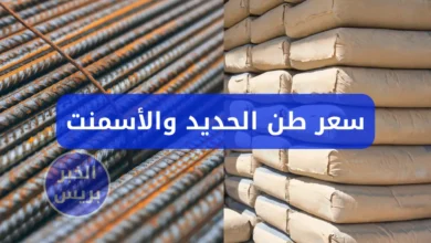 سعر الحديد اليوم في مصر الخميس 3 يوليو 2025.. تحديث أسعار حديد عز والأسمنت للمستهلك