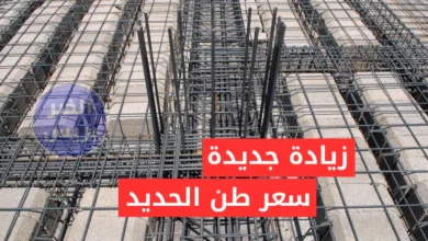 زيادة جديدة.. سعر طن الحديد والأسمنت اليوم في مصر 8-7-2025 بعد تحديثات البورصة