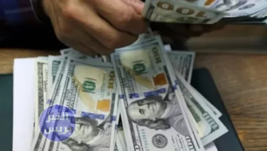 ارتفاع سعر الدولار مقابل الجنيه المصري بنهاية تعاملات الاثنين 7-7-2025